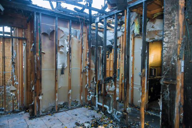 Professional Odor Removal technician working in South Burlington, VT